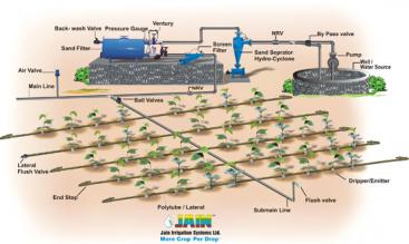 Drip irrigation. Source: image.absoluteastronomy.com